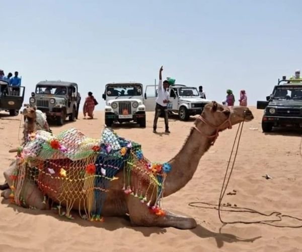 Ranakpur Jain Temple