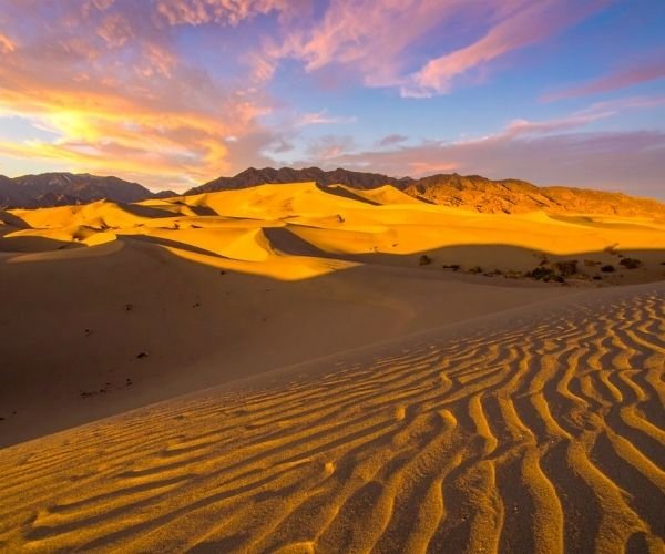 Ranakpur Jain Temple